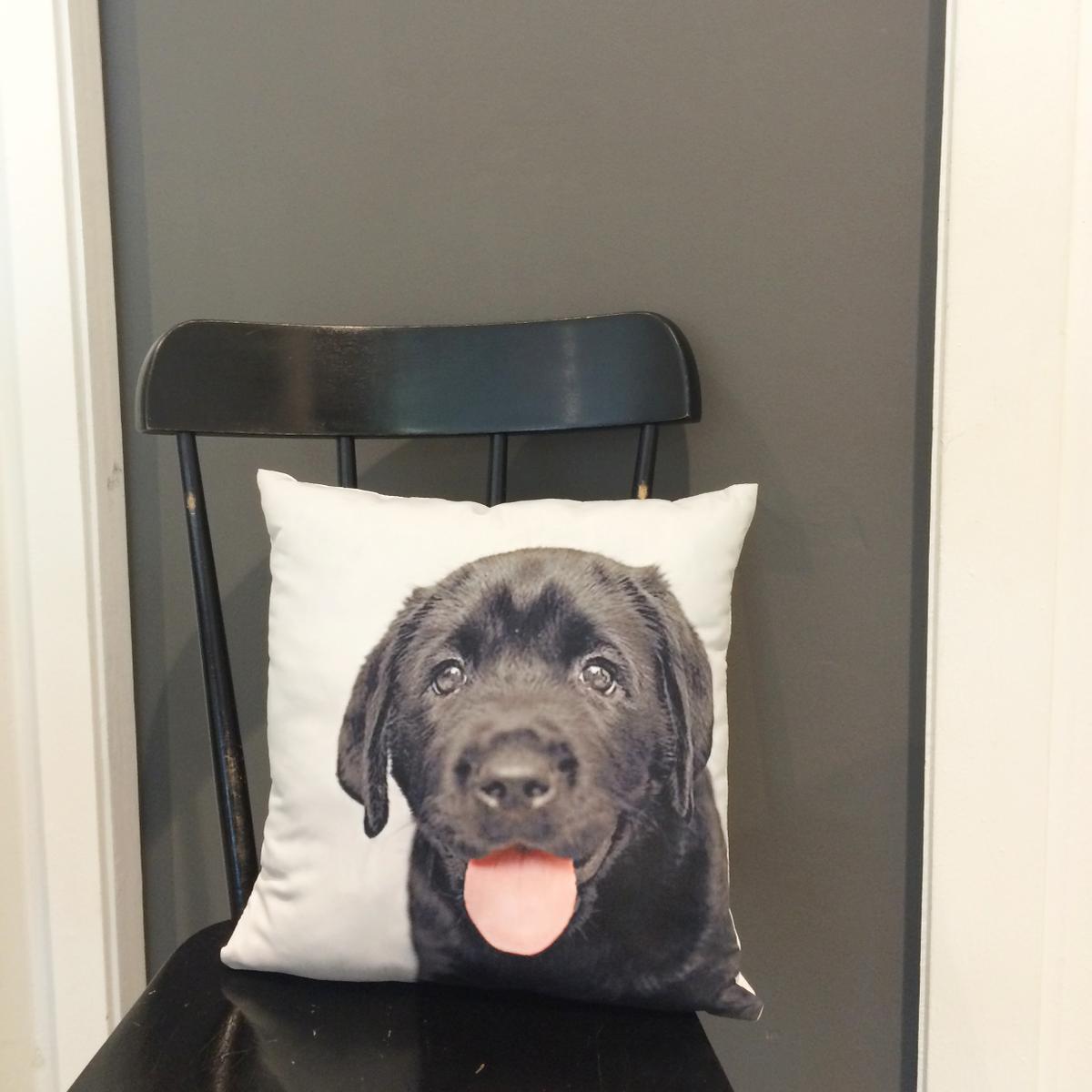 cojin-perro-maow-design-shop