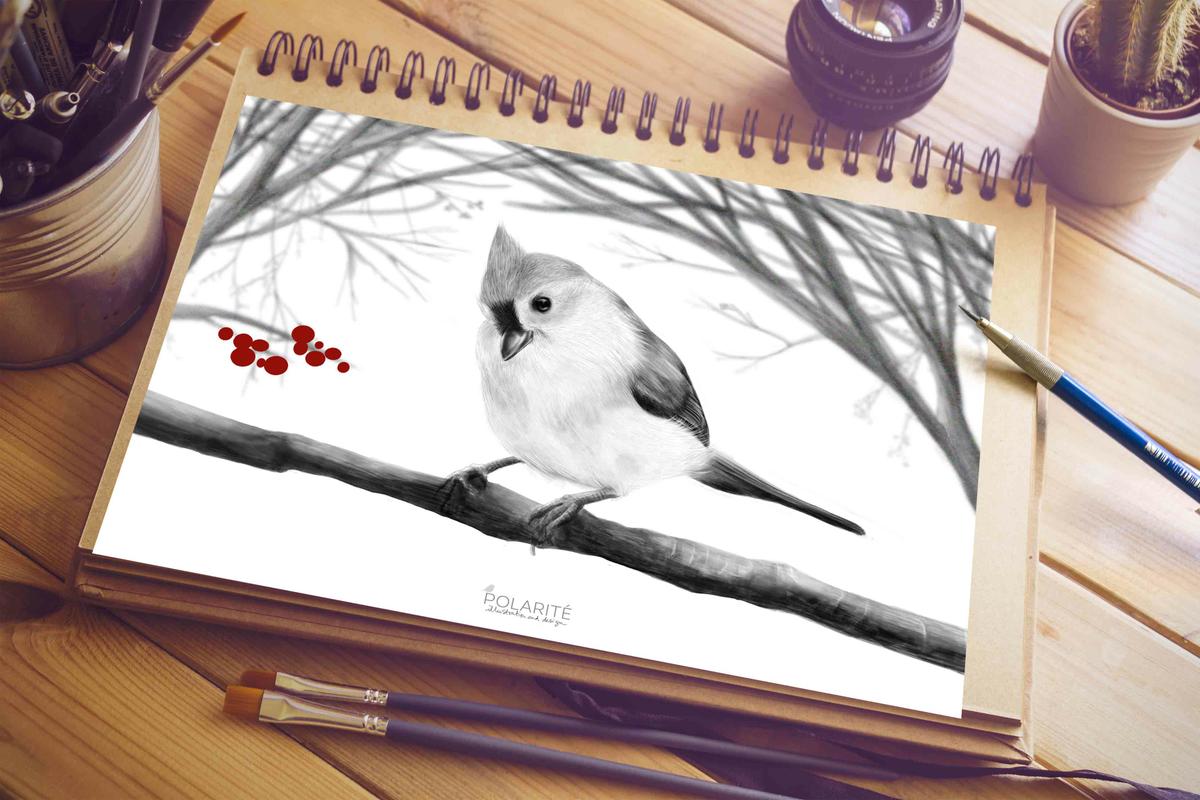 polarite-winter-project-life-nepal-sketchbook-maow-design-shop-2