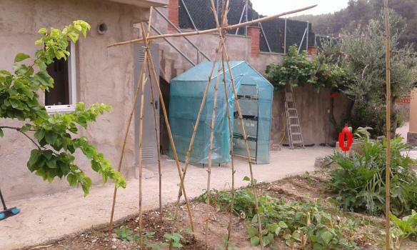 Entutorado en cabaña