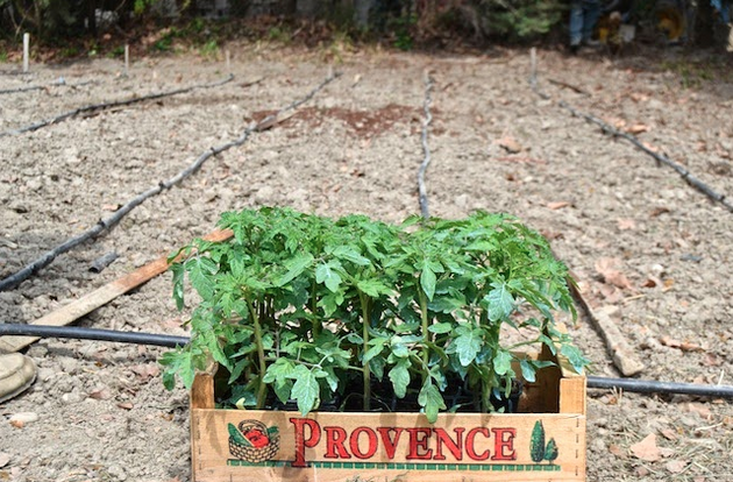 escapada a la provenza