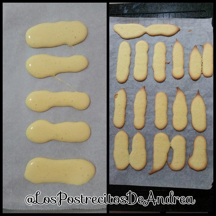 Plantillas01_1438048401498