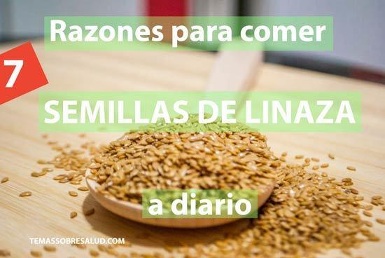 semillas de linaza