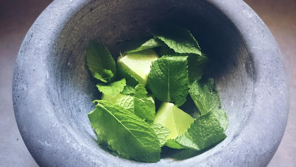 polodemojito-mentaylima