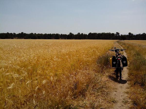 campos-de-castilla-camino-de-santiago-de-madrid-rutas-en-mtb