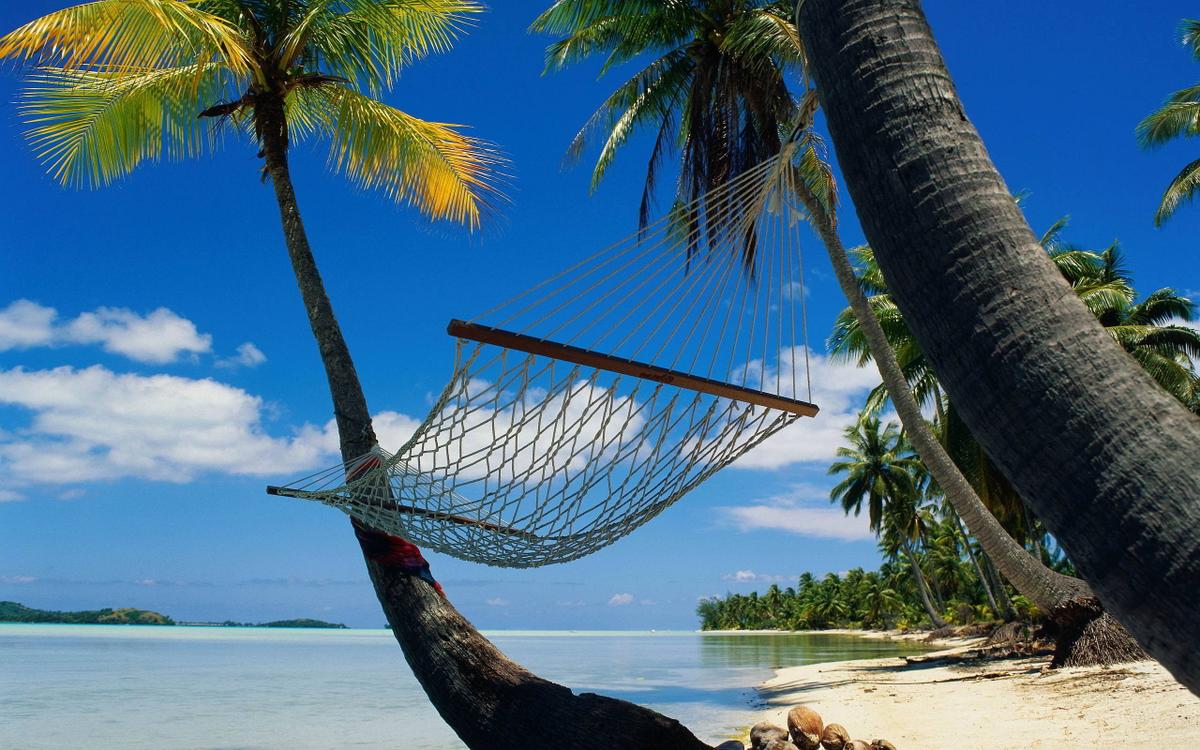 hamacas