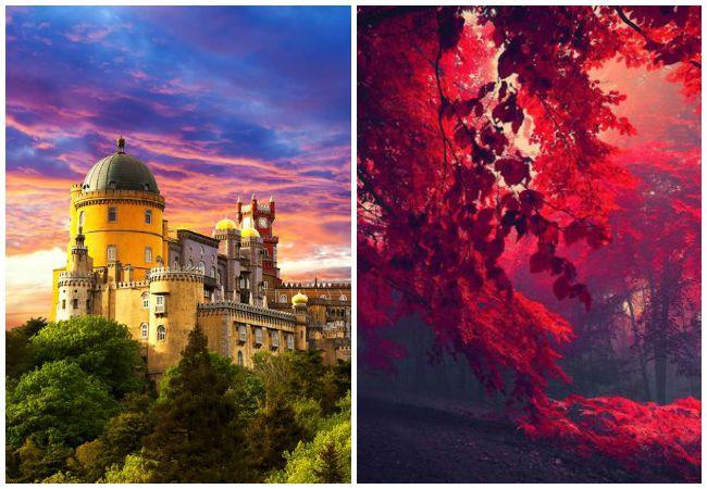 Europa, Europe, Portugal, viajar, travel, love, place to go, city, place, love, Sintra