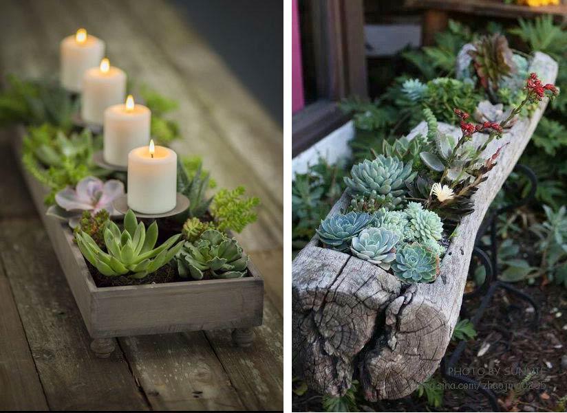 compo-suculentas-decoratualma-dta