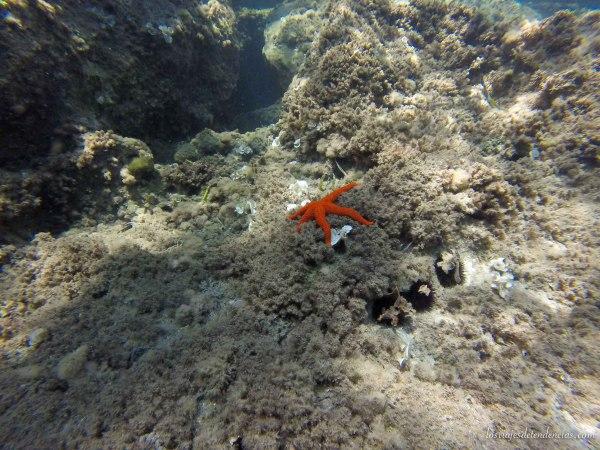 10 lugares para disfrutar del mejor baño