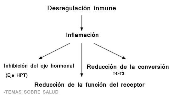 medicamentos para la tiroides