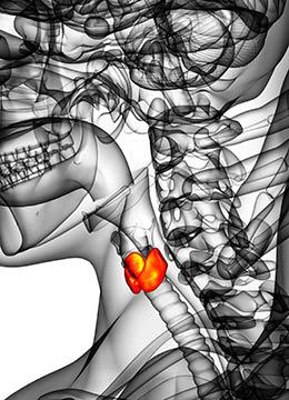 medicamentos para la tiroides