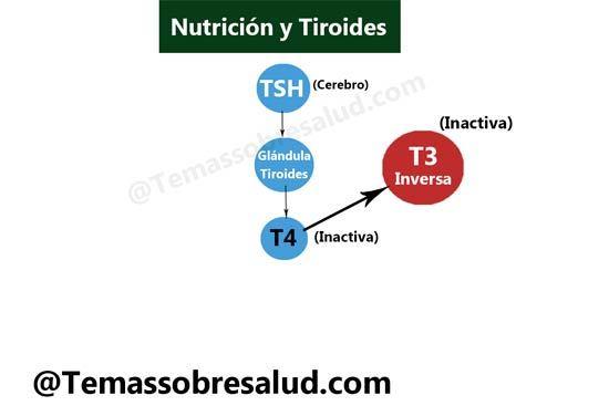 medicamentos para la tiroides