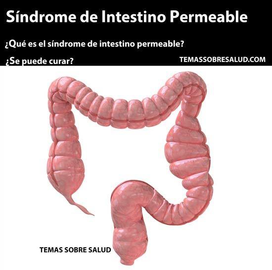 intestino permeable