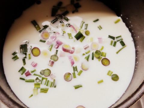 champ puré irlandés