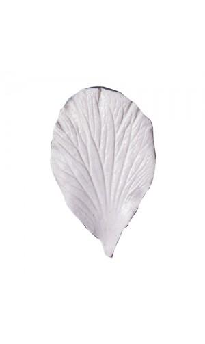 marcador-nervaduras-petalo-y-hojas-hibiscus-squires-kitchen