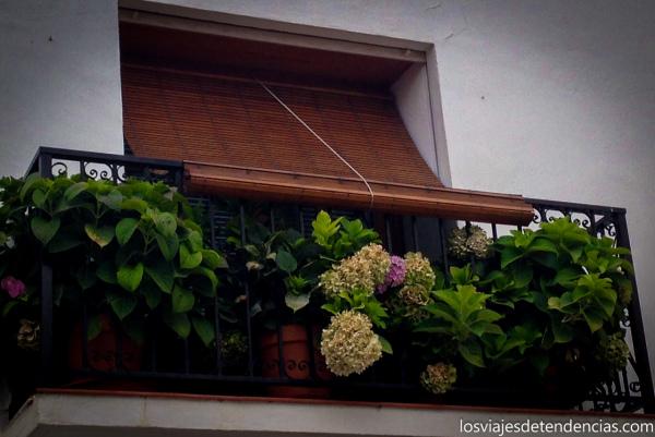 altea