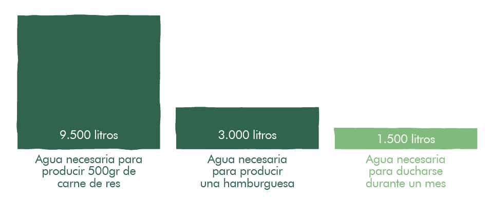 gráfico uso del agua en producción de carne