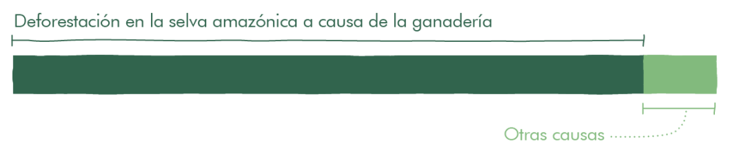 gráfico deforestación de la amazonía