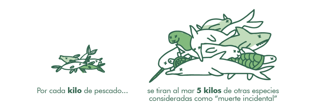 Gráfico muertes incidentales industria pesquera