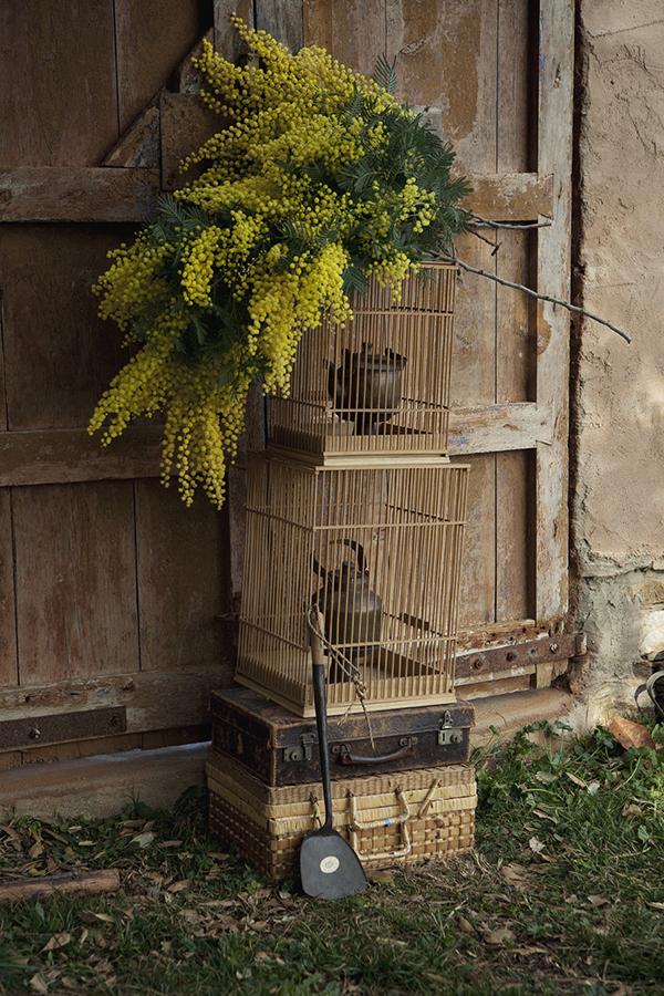 decoración con jaulas