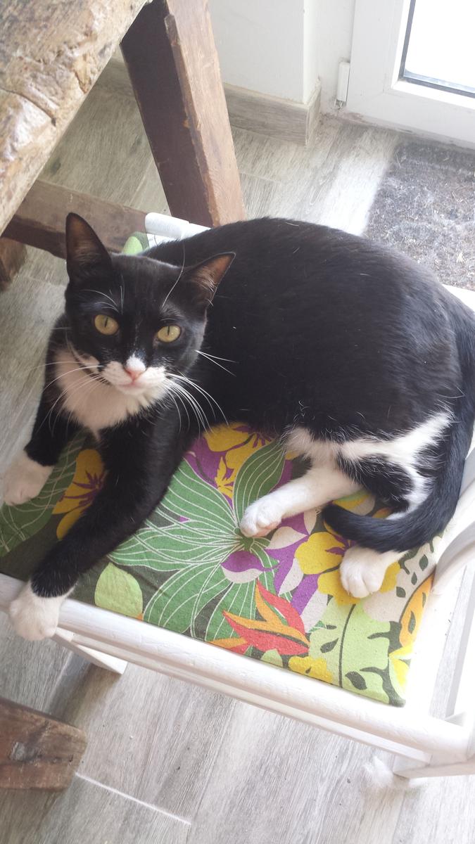 Mesa para jardinería - Detalle silla restaurada