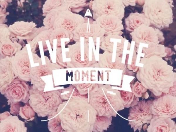 flor, flores, flower, flowers, jardin, garden, petit, inspiration, inspire, inspiring, inspiración, rosas, roses, quotes, frase