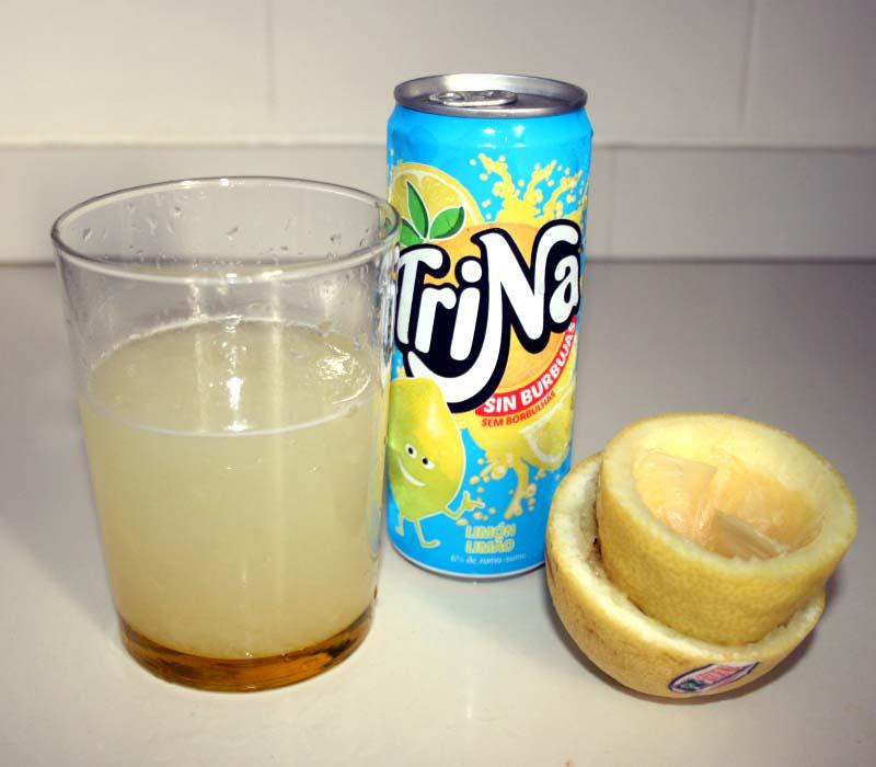 04. Refresco natural de trina limonen blog de fitness