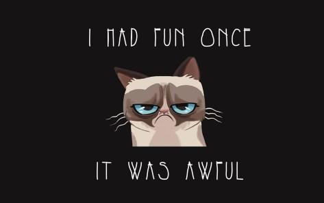 meme grumpy cat