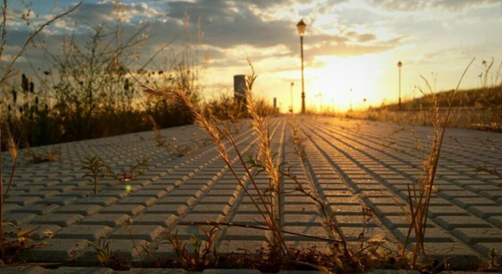 Luces-Sombras-Atardecer