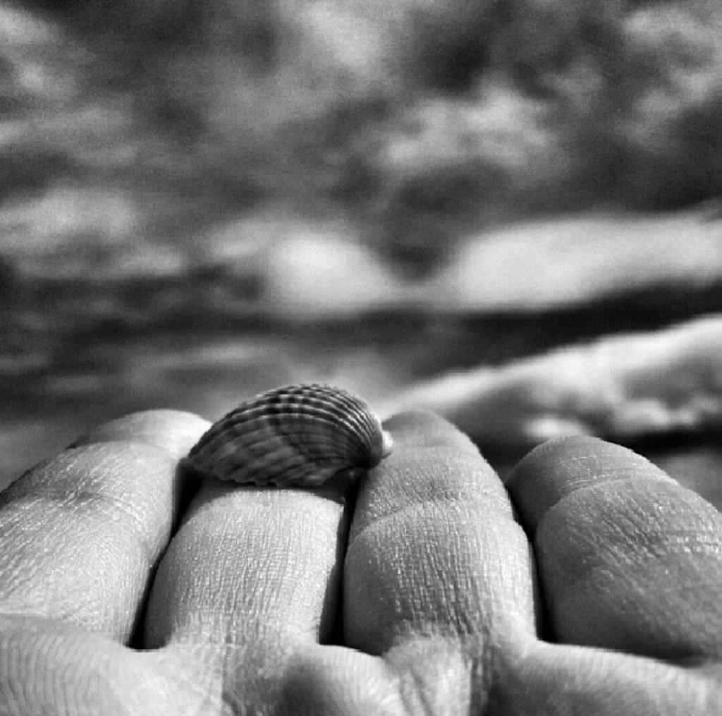 Caracola-Caracol-Mano
