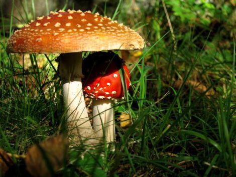 Noruega-y-Suecia-en-coche