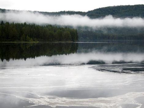 Trayecto Oslo-Bergen