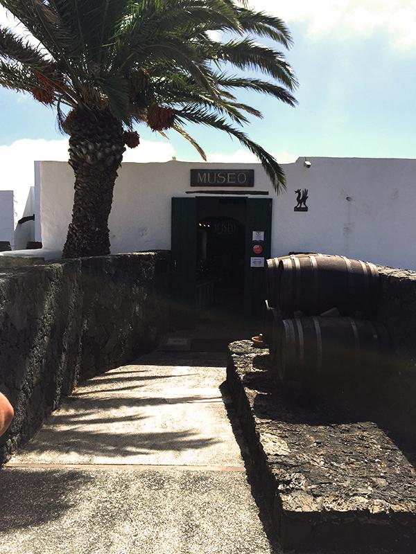 grifo entrada tienda