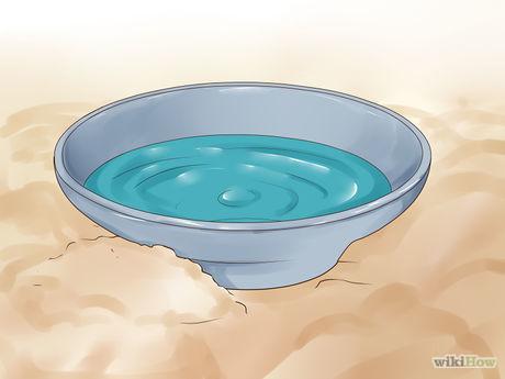 Turn Salt Water Into Drinking Water Step 13 Version 2.jpg