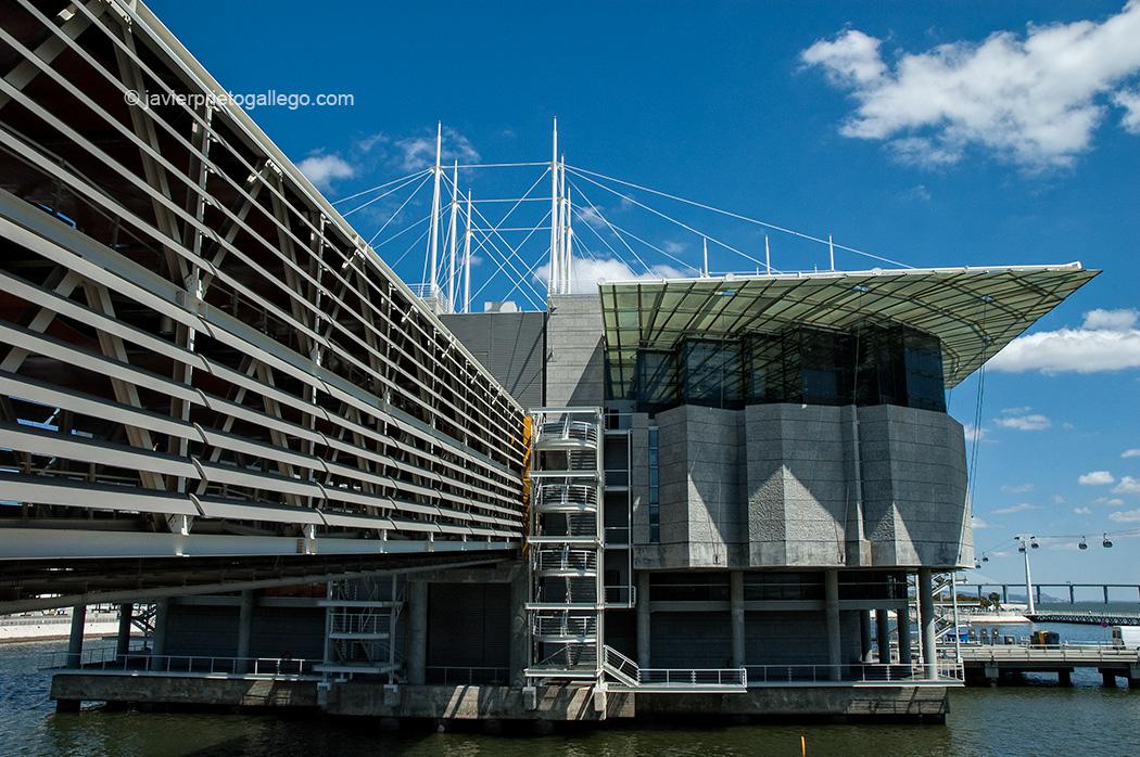 Oceanario. Lisboa. Portugal, 2005 © Javier Prieto Gallego;