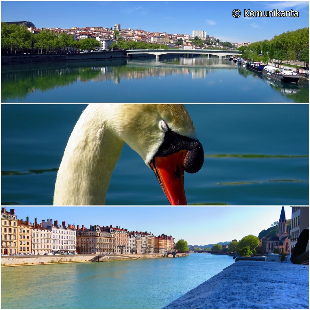 Rios Saona y Ródano