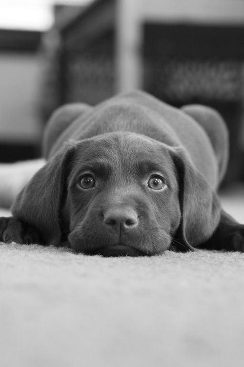 1394022d9bf7cc131633616bad02b7aa