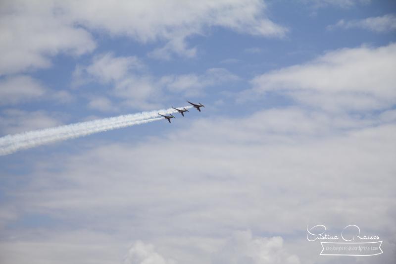 adormideras aviones 186