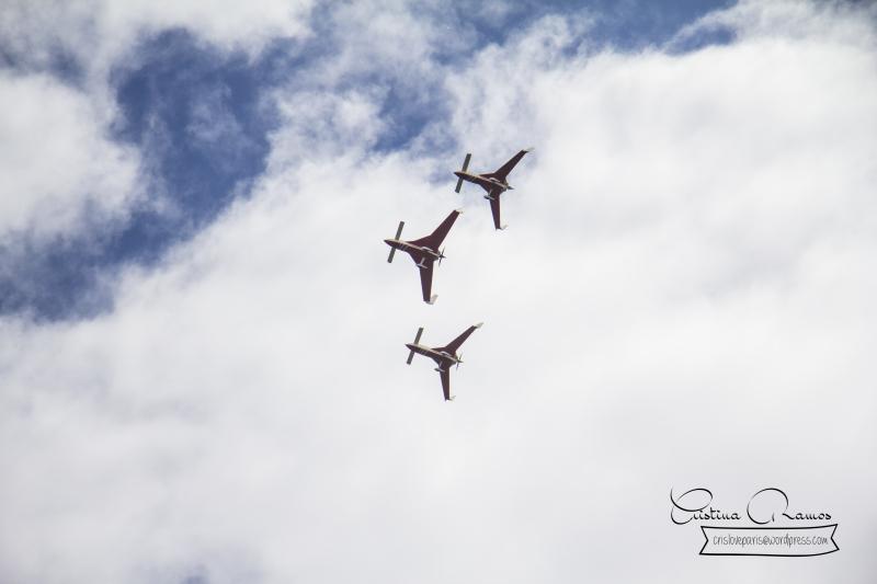 adormideras aviones 194