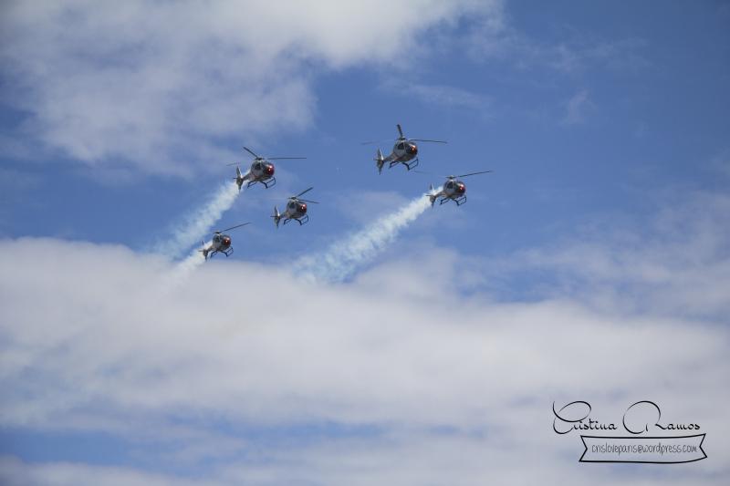 adormideras aviones 364