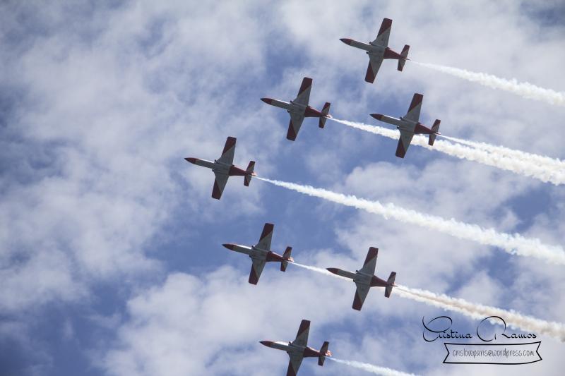 adormideras aviones 647