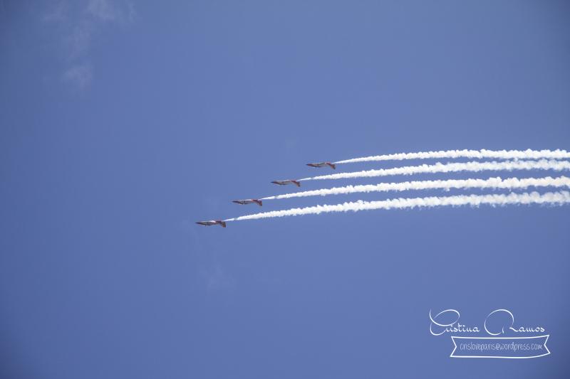 adormideras aviones 698