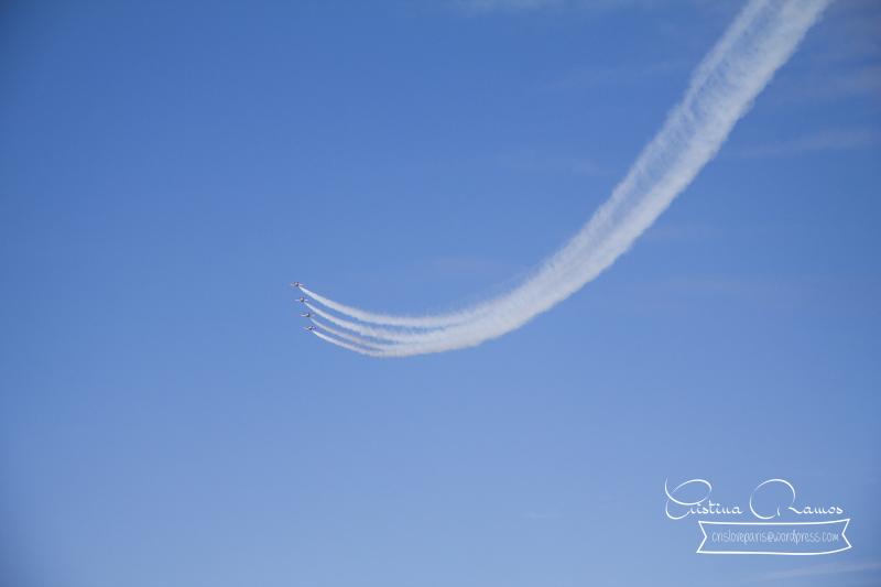 adormideras aviones 705