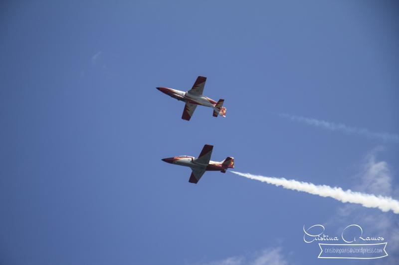 adormideras aviones 736