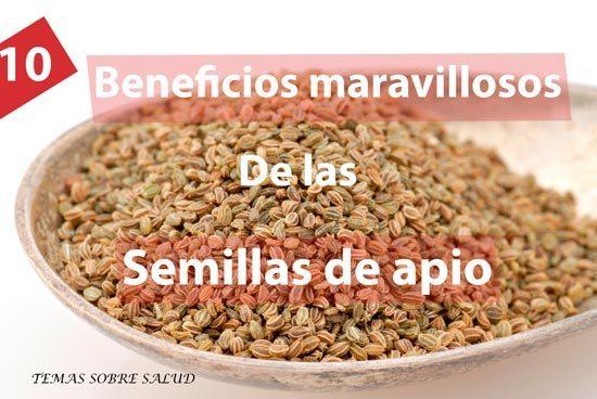 semillas de apio