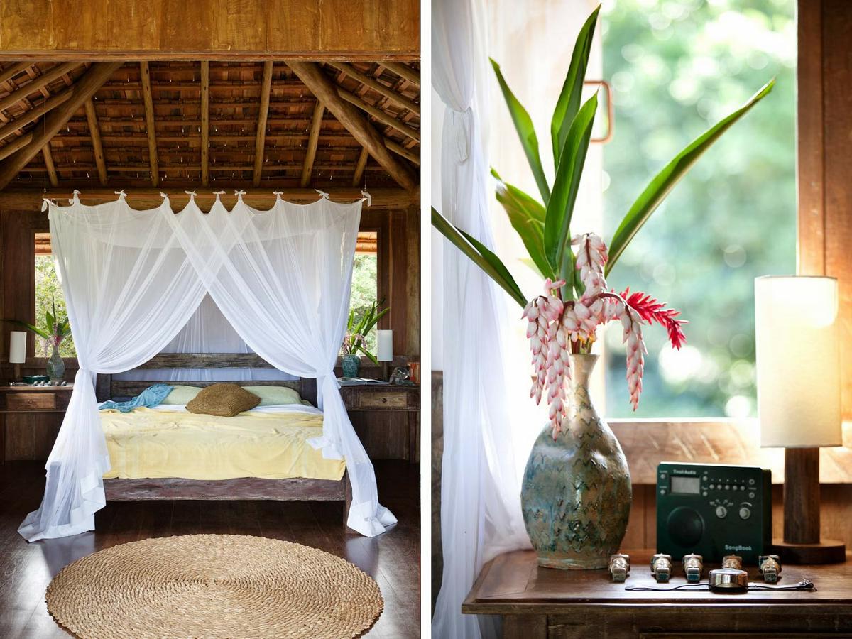 cama,matrimonio,velo,jarrón,planta