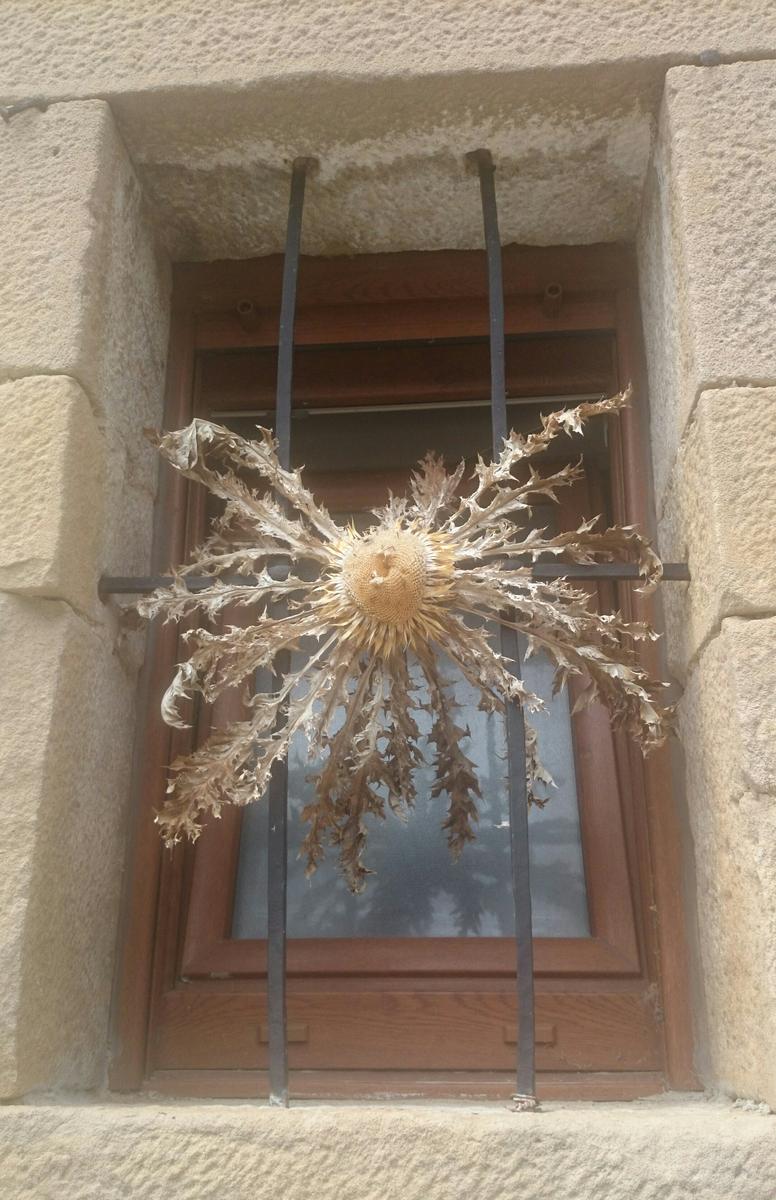 nacederodelurederra-eguzkilore