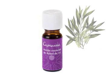 aceite esencial de arbol de te