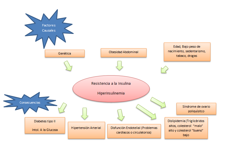 Resistencia a la Insulina