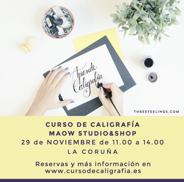 Taller caligrafia maow