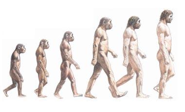 Porque tenemos muelas del juicio